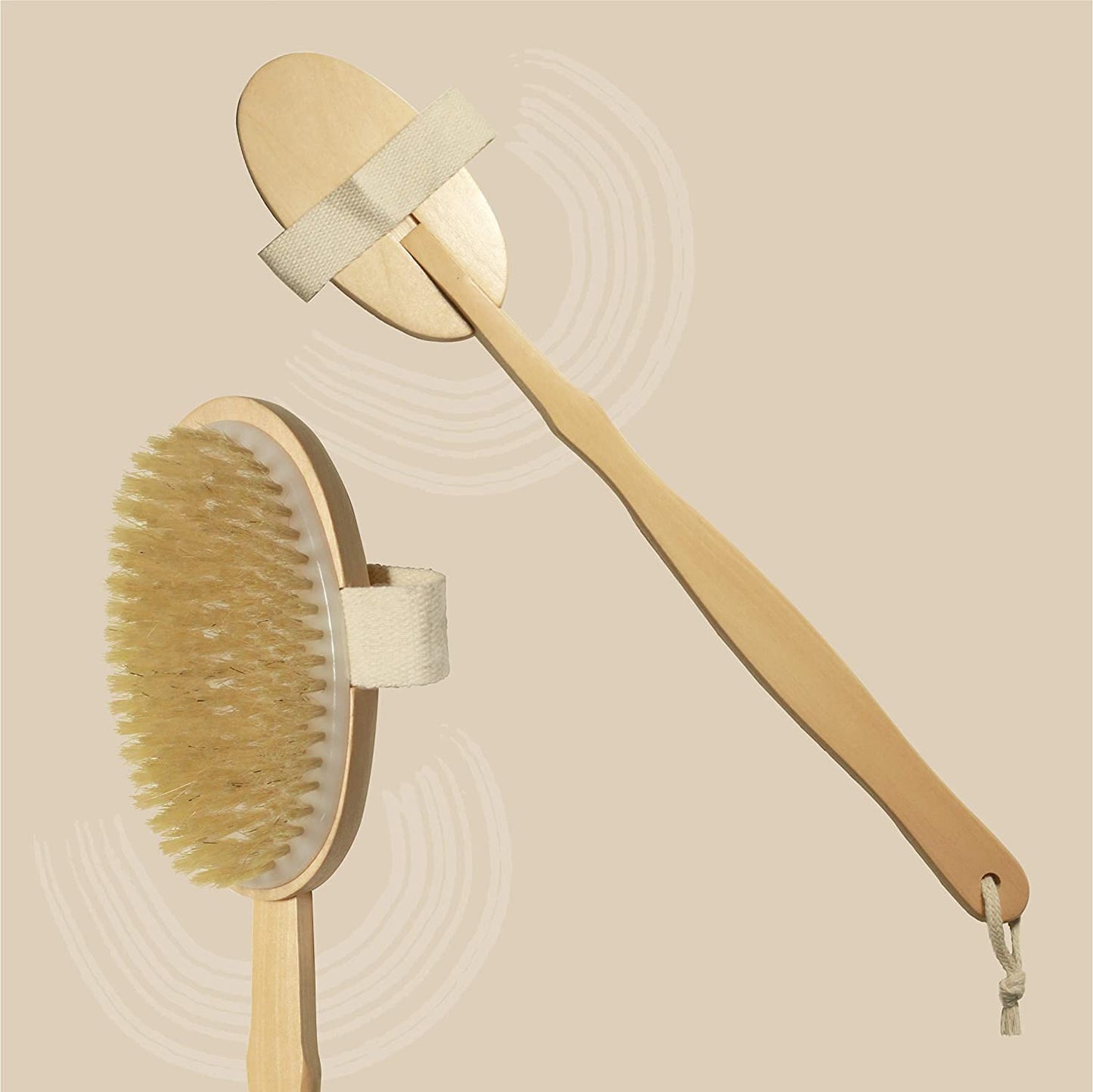 Organic B’s 2-in-1 Dry Skin Body Brush with 14 inch Removable Wood Handle