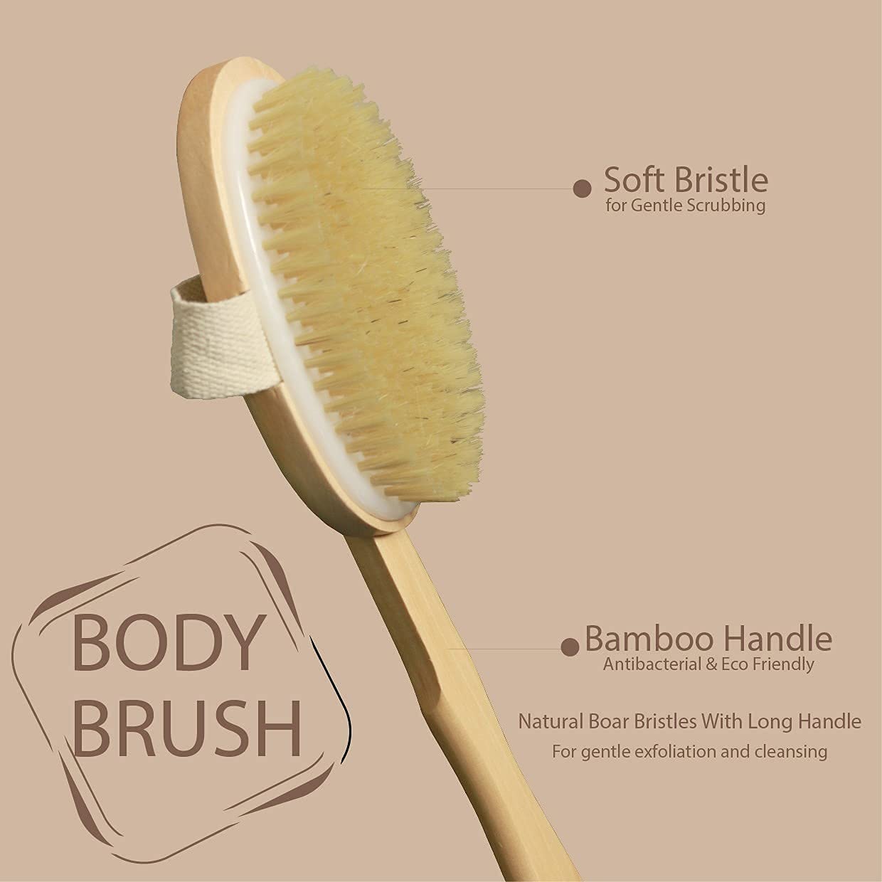 Organic B’s 2-in-1 Dry Skin Body Brush with 14 inch Removable Wood Handle