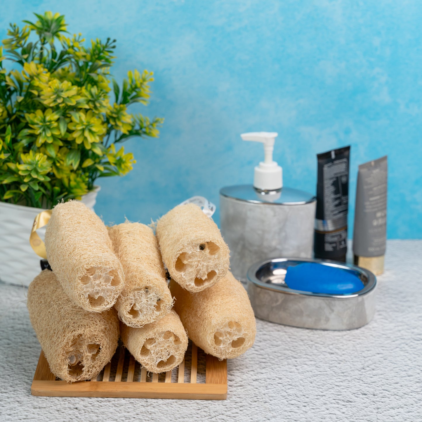 Natural Organic Loofah, Body Scrubber/Sponge (Pack of 6)