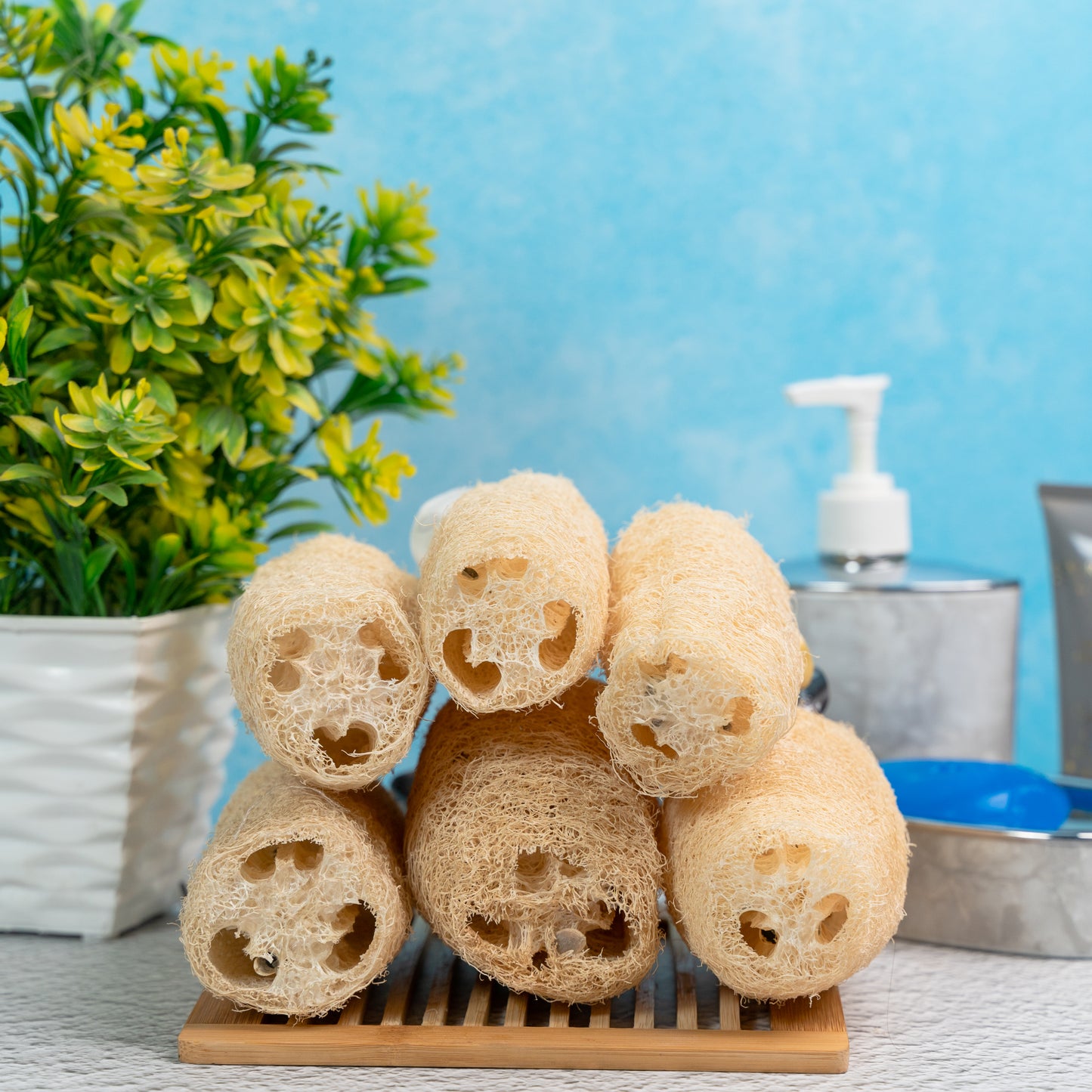 Natural Organic Loofah, Body Scrubber/Sponge (Pack of 6)