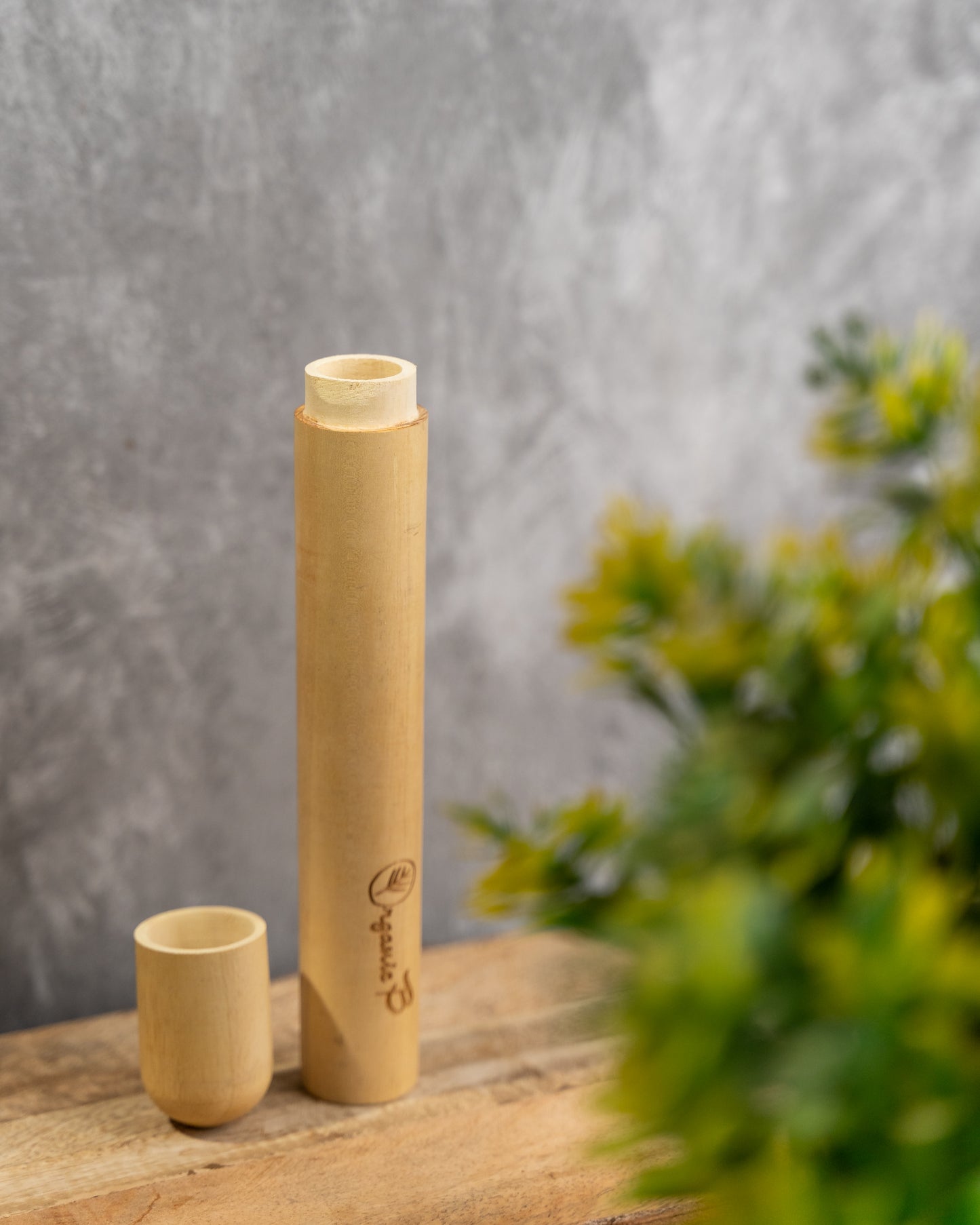 Eco Friendly Travel Case for Toothbrush