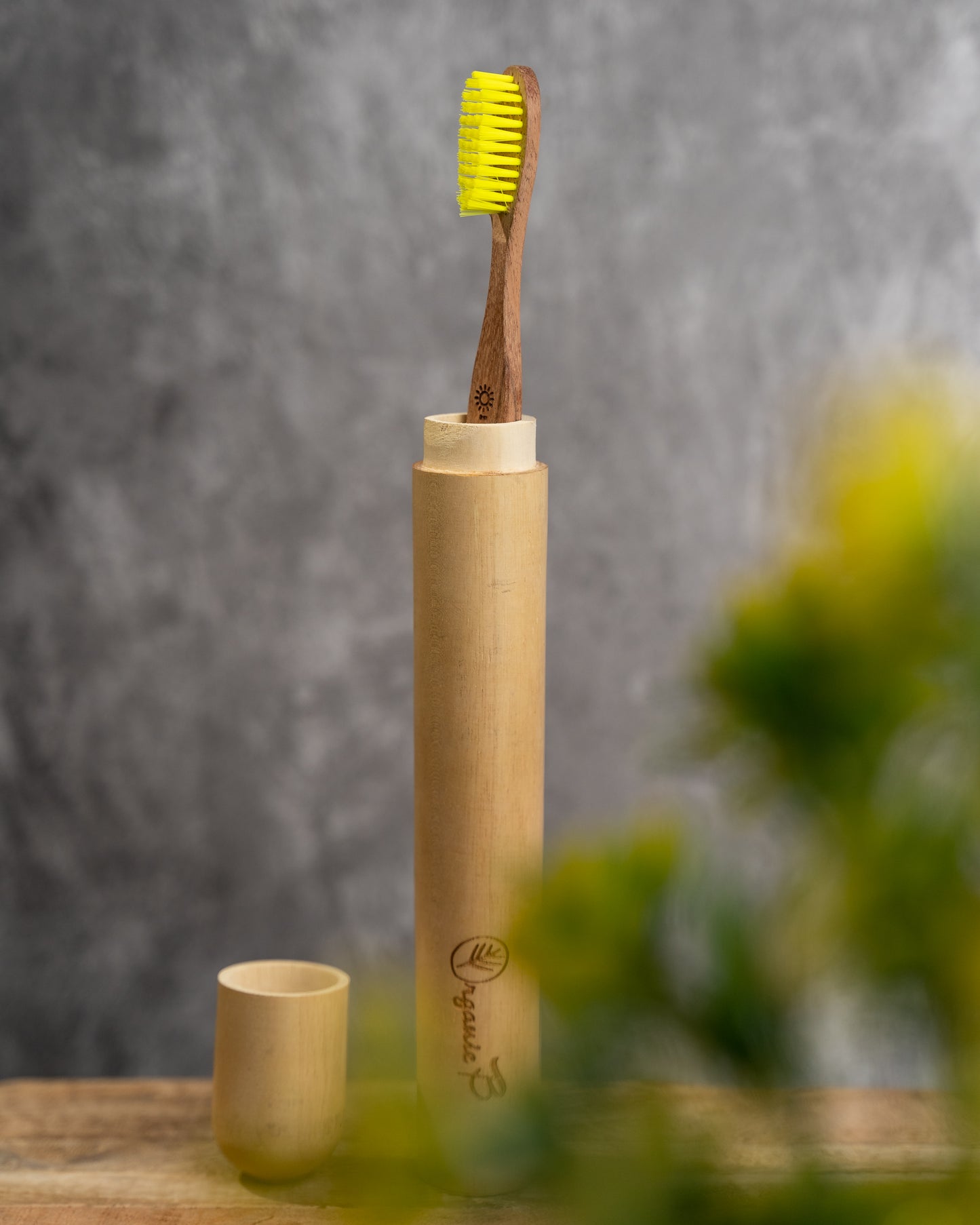 Eco Friendly Travel Case with Babool Toothbrush