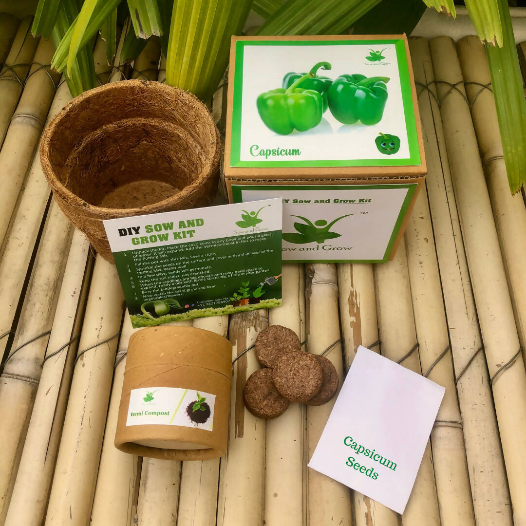 DIY Gardening Kit of Capsicum (Grow it Yourself Vegetable Kit)