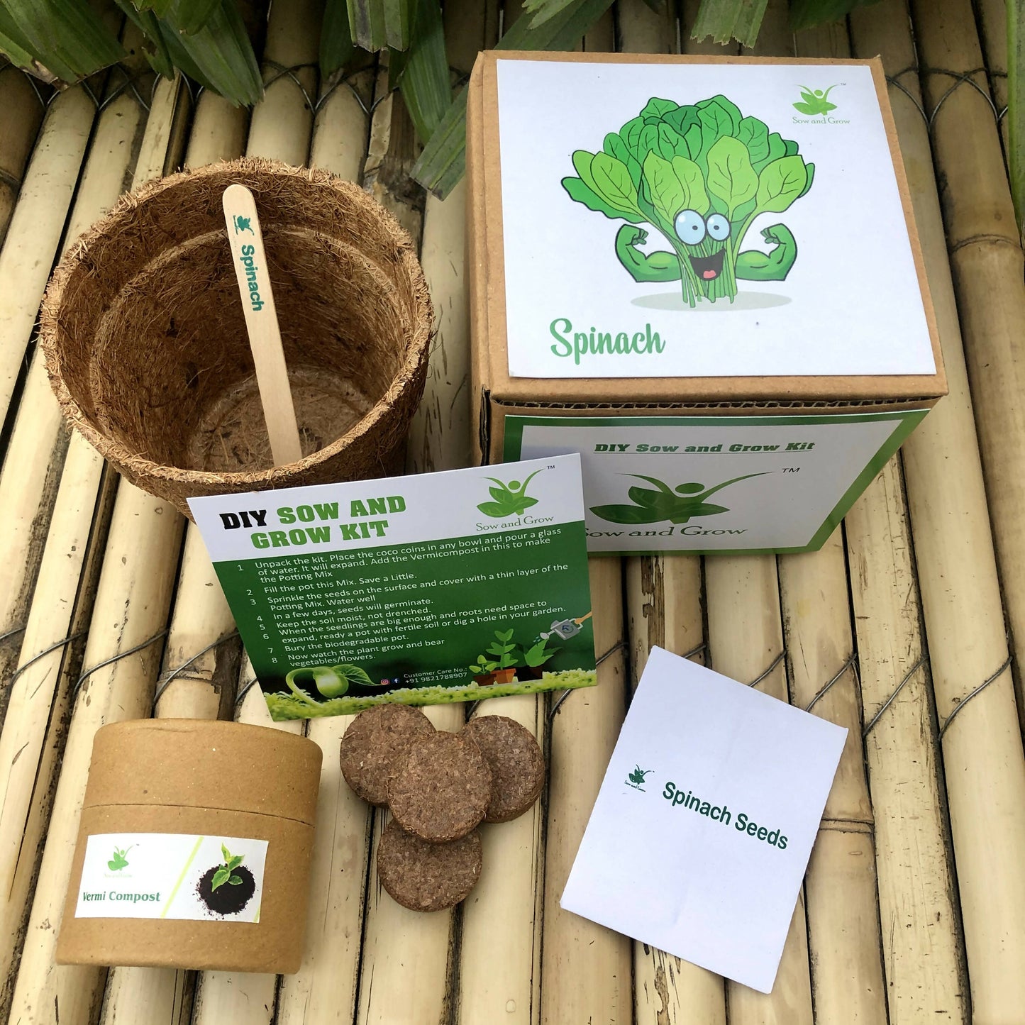 DIY Gardening Kit of Spinach (Grow it Yourself Vegetable Kit)