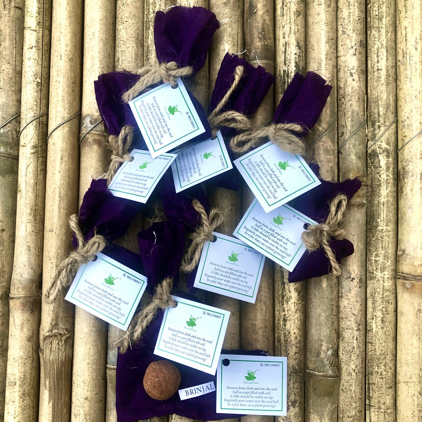 10 Plantable Seed Balls with Brinjal Seeds