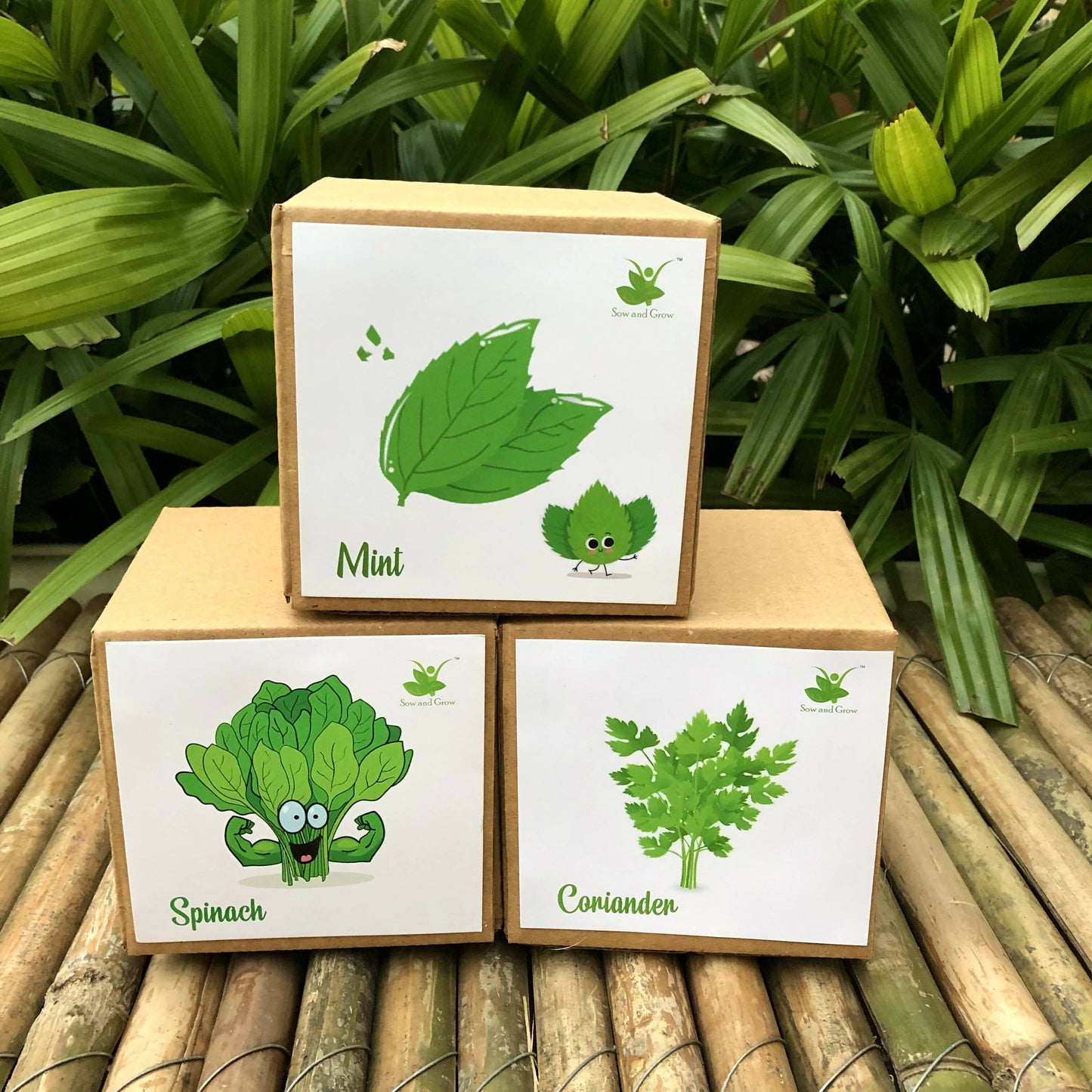 DIY Gardening Leafy Kits | Spinach + Coriander + Mint