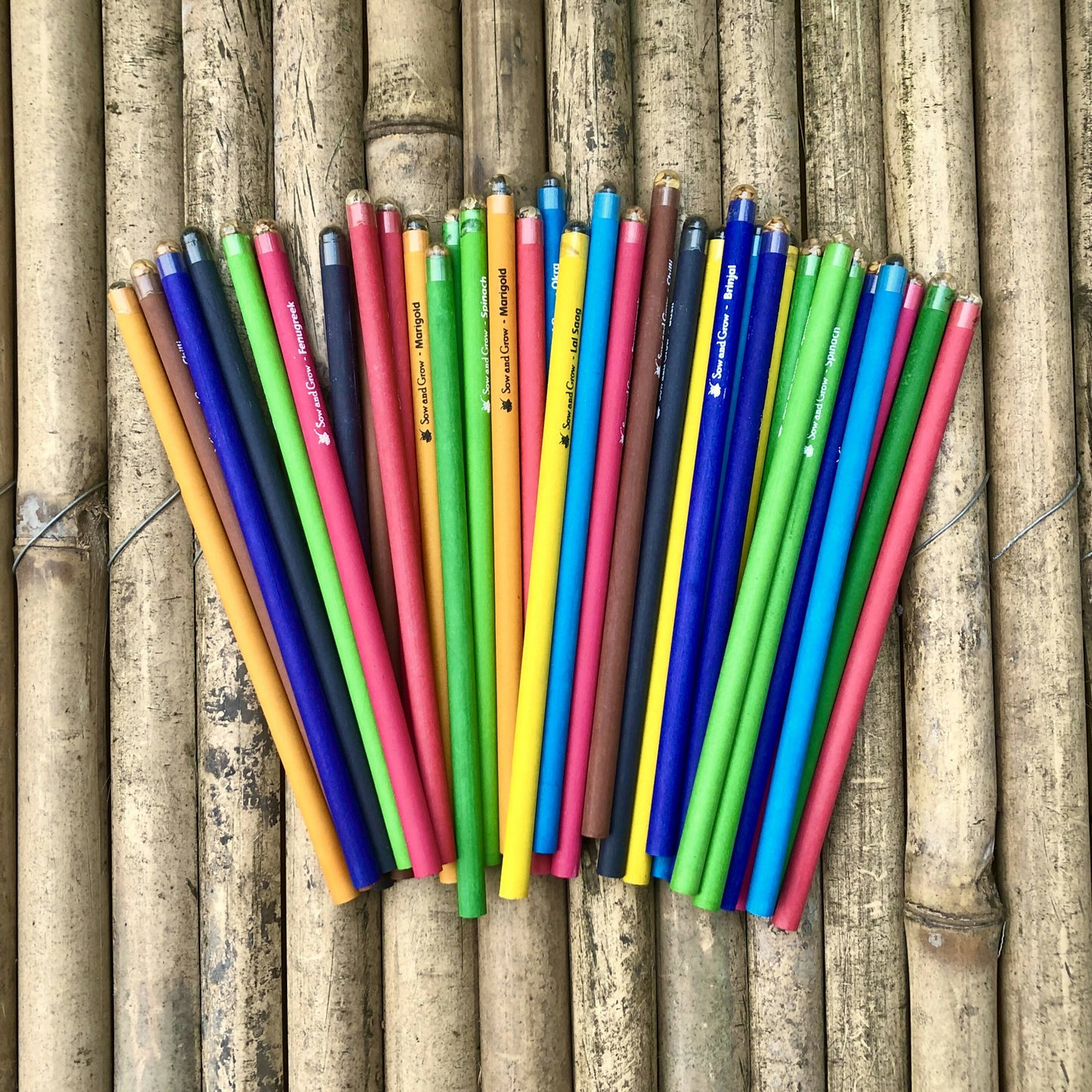 Plantable Seed Pencils with Jute Packaging (Pack of 50)