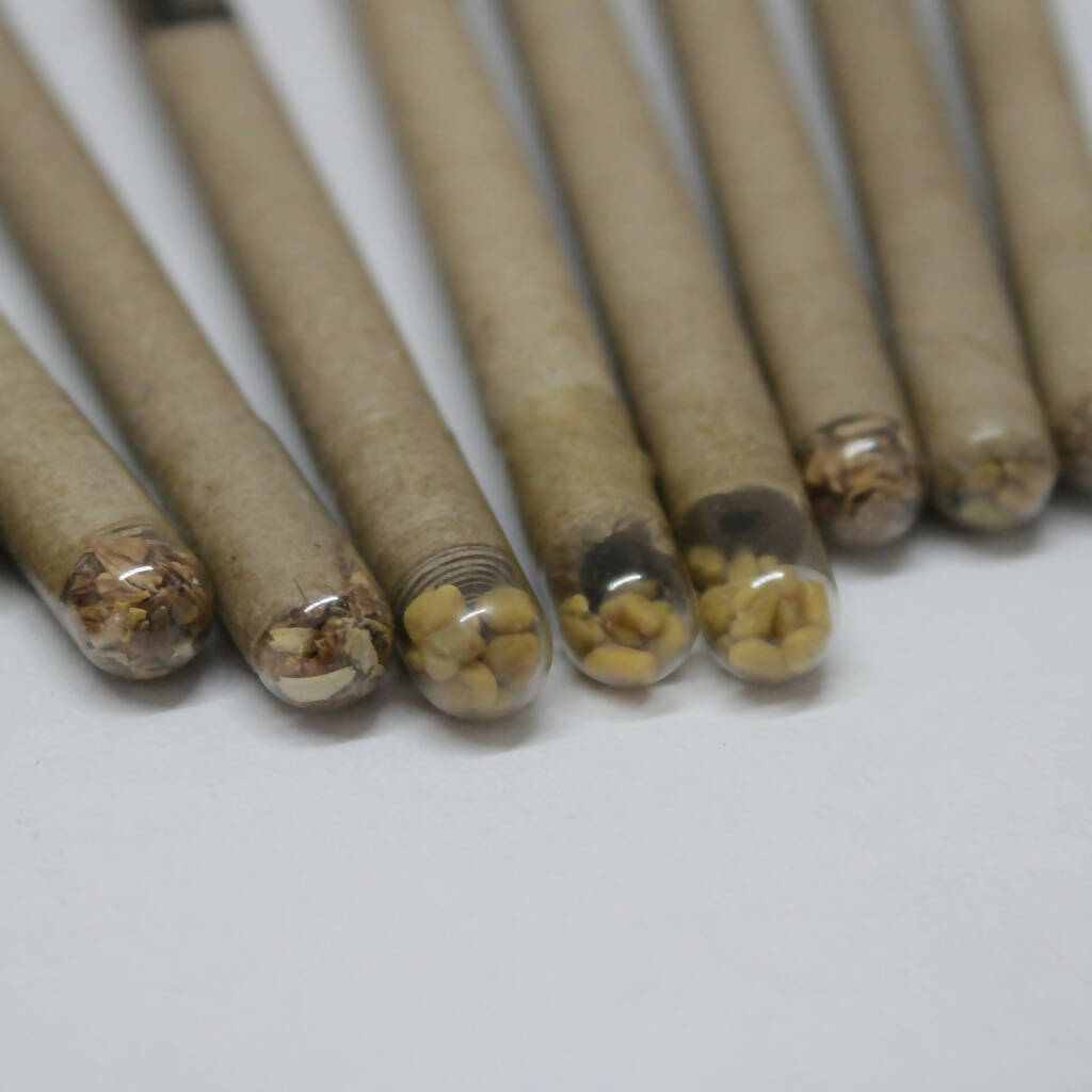 Seed Pencils