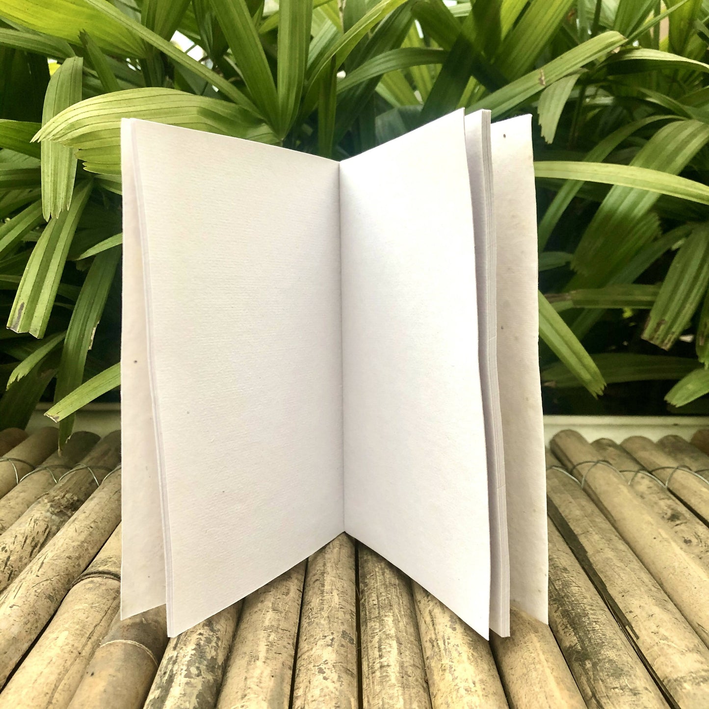 Plantable Diary "You Are Magical": Set of 5 Gift Pack