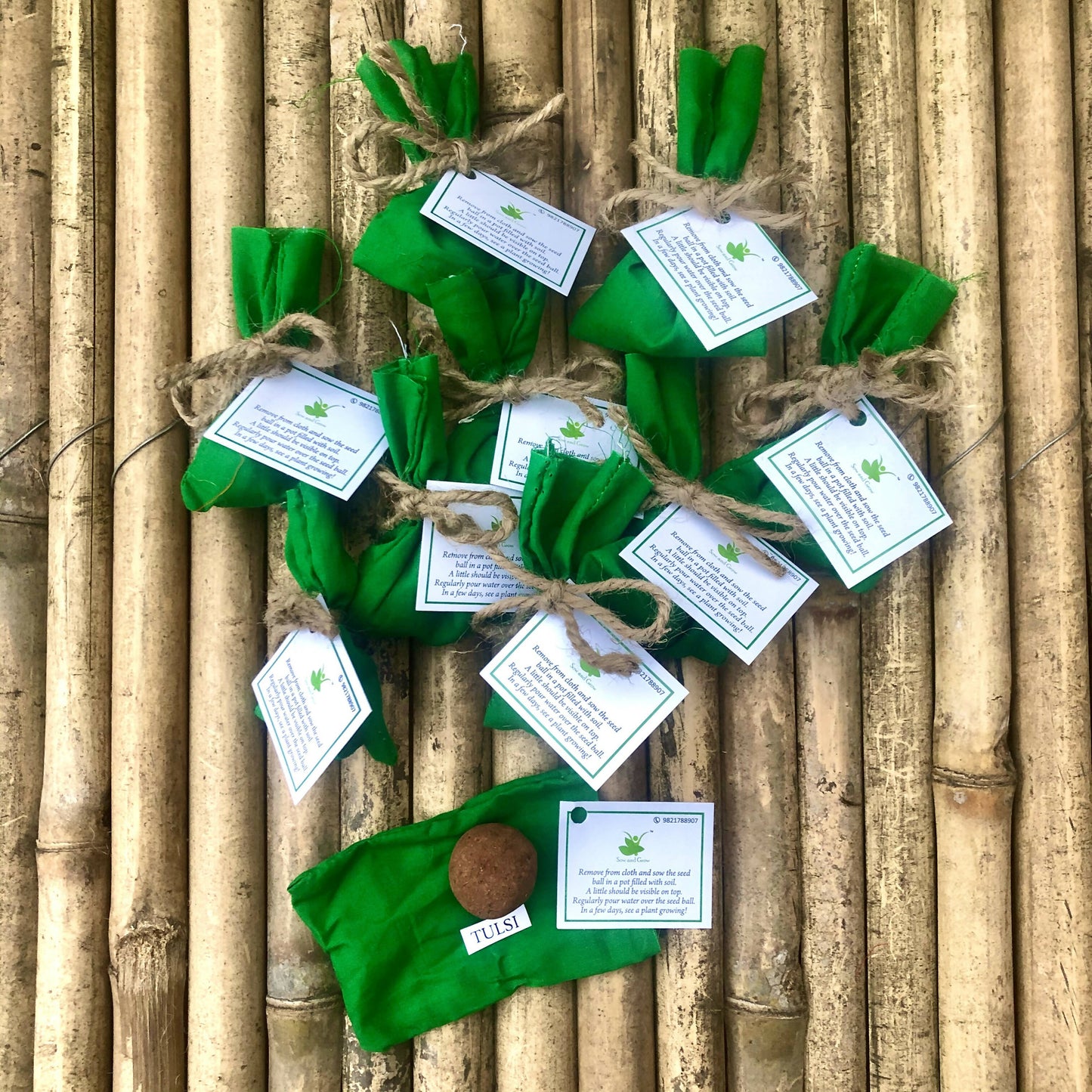 10 Plantable Seed Balls with Tulsi/Holy Basil Seeds