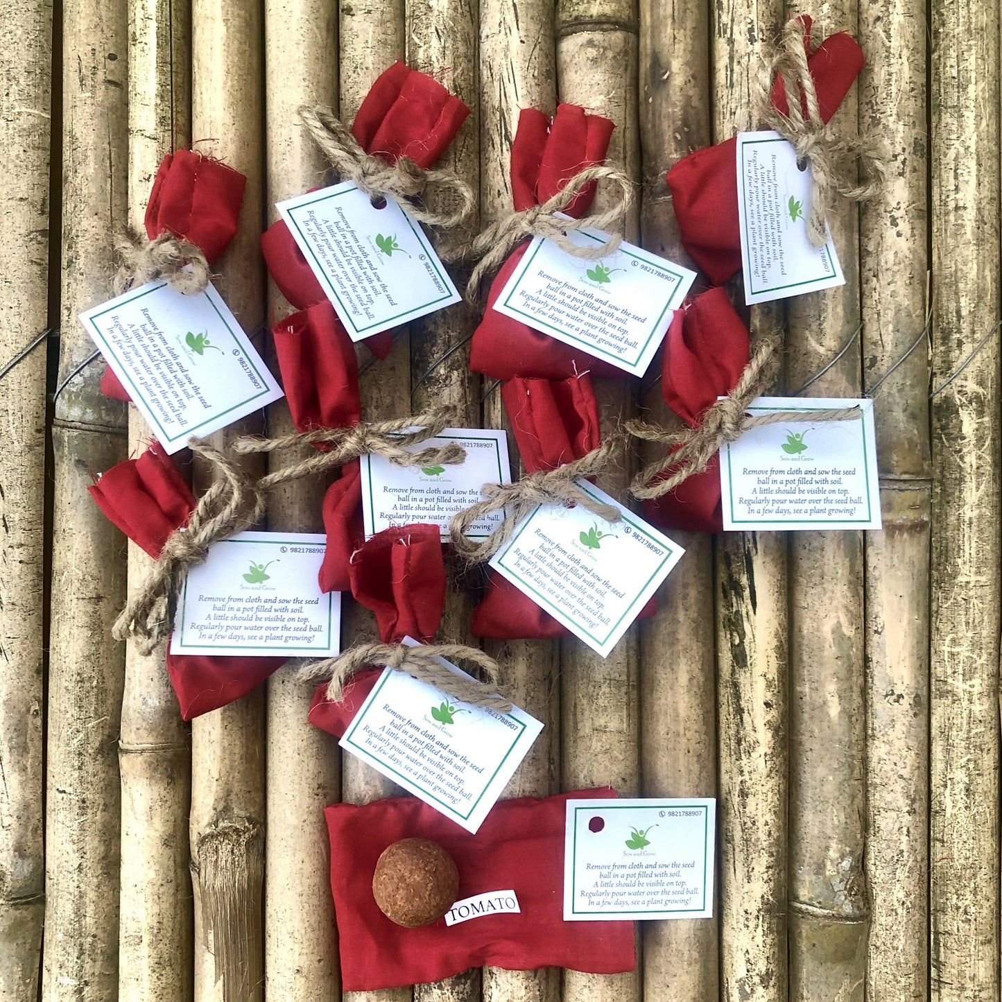 10 Plantable Seed Balls with Tomato Seeds