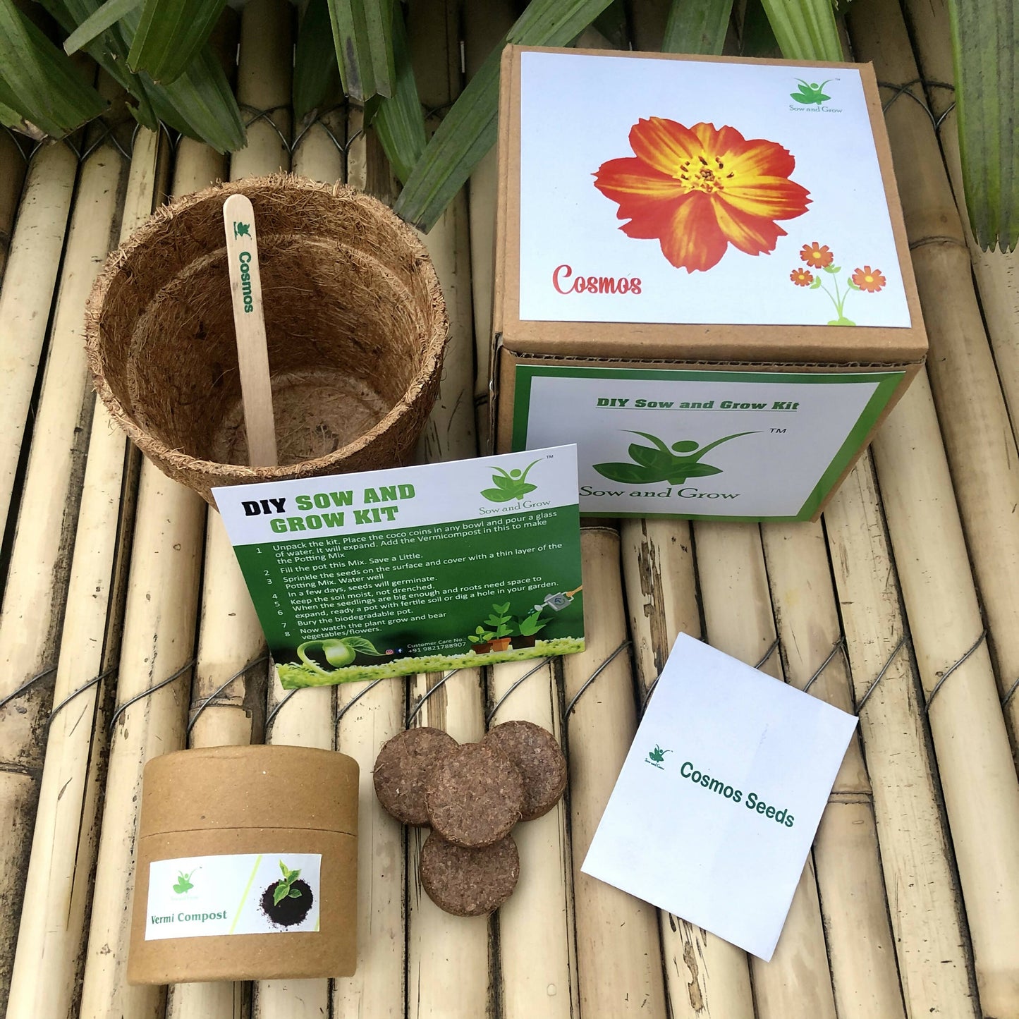 DIY Gardening Kit of Cosmos Flowers