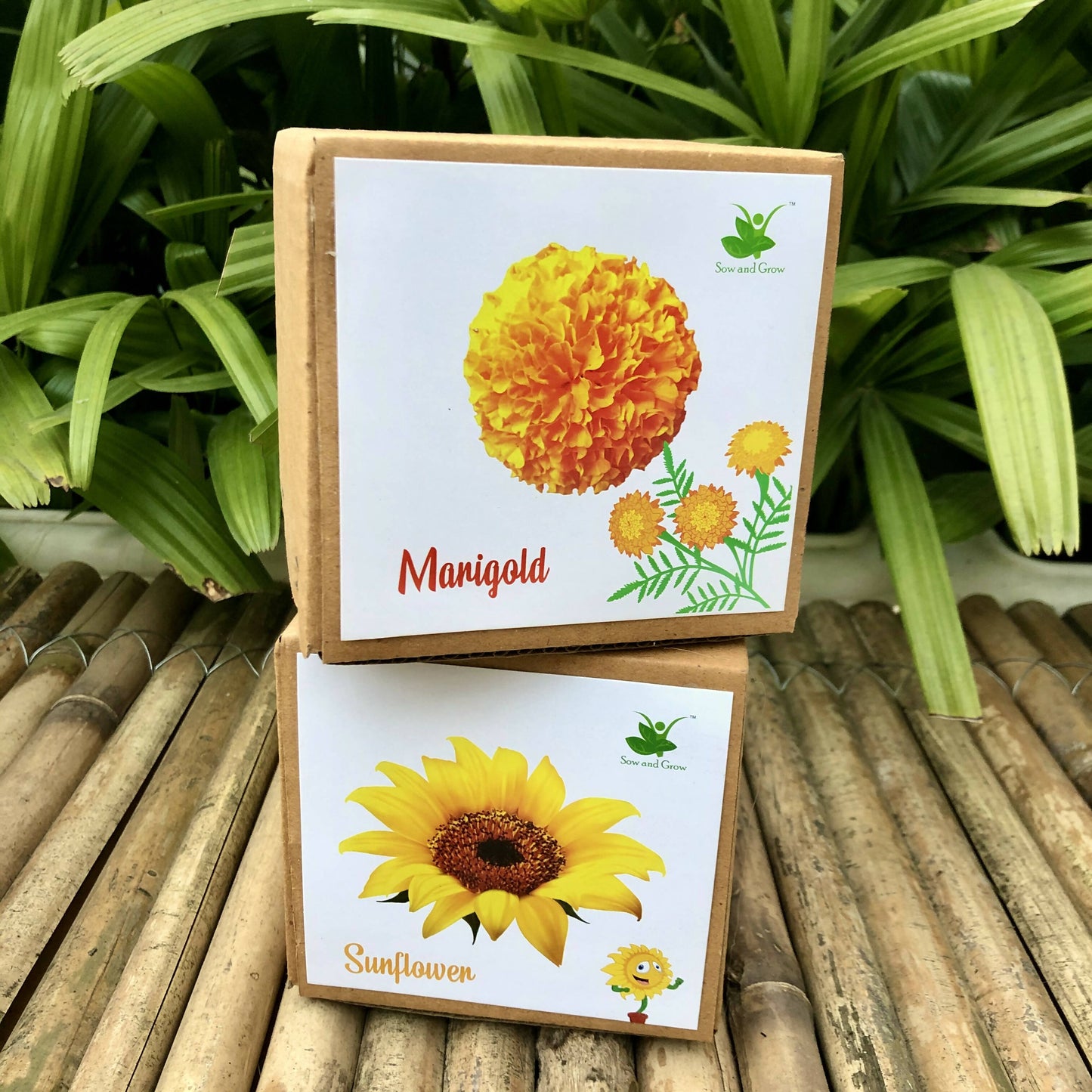 DIY Gardening Flower Kits | Marigold + Sunflower