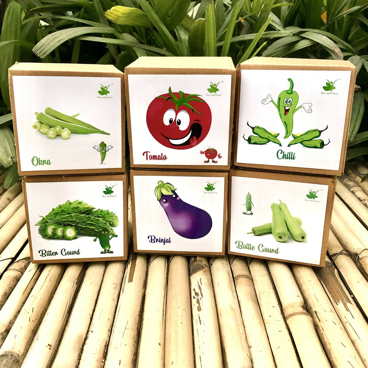 DIY Gardening 6 Vegetable Kits | Brinjal + Okra + Chilli + Tomato + Bitter Gourd + Bottle Gourd