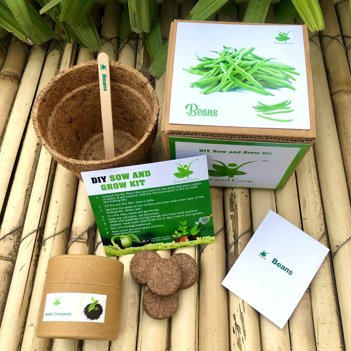 DIY Gardening Kit of Beans (Grow it Yourself Vegetable Kit)