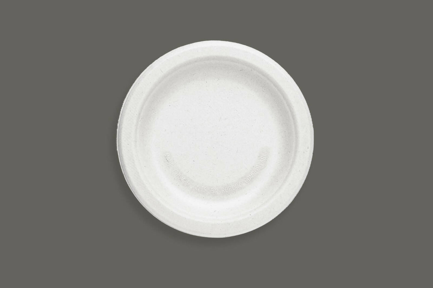 9 INCH PLAIN PLATE