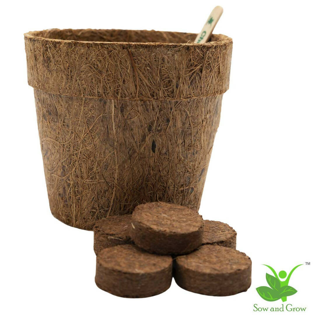 DIY Gardening Kit of Mint (Grow it Yourself Herb Kit)