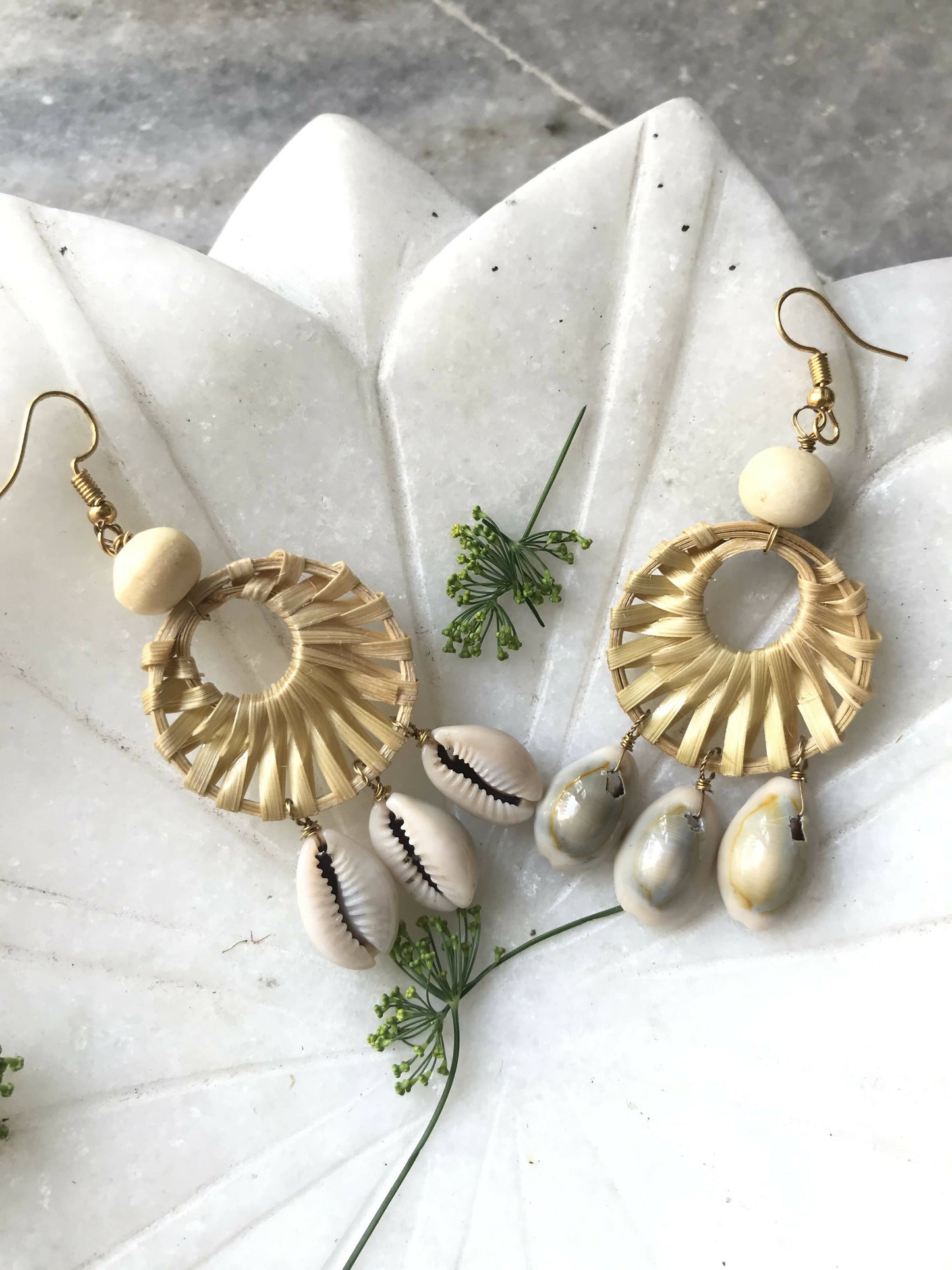 Bamboo Round Sea Shell Earrings