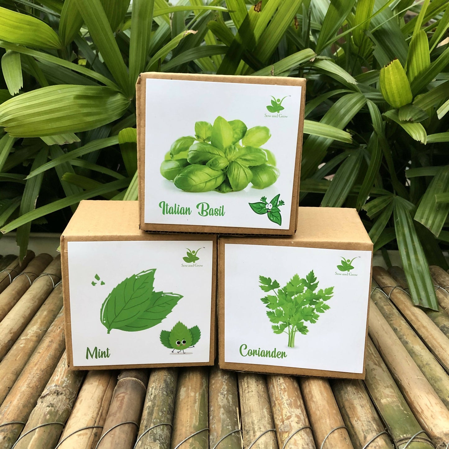 DIY Gardening Herb Kits | Mint + Coriander + Italian Basil