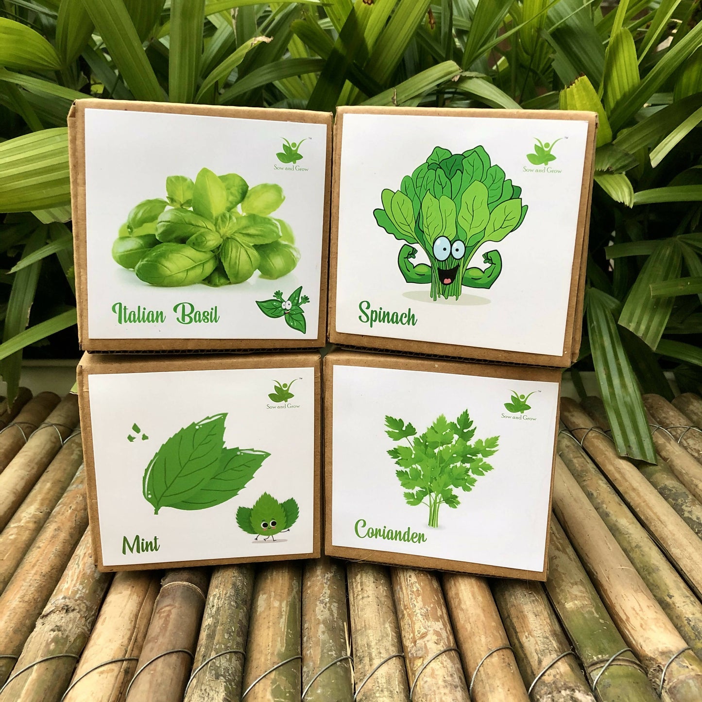 DIY Gardening 4 Greens Kits | Mint + Coriander + Italian Basil + Spinach