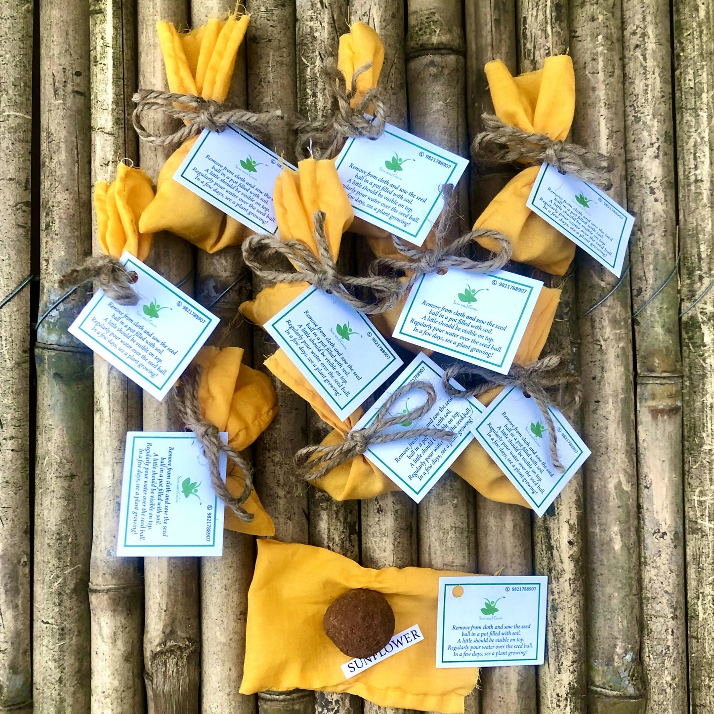 10 Plantable Seed Balls with Sunflower seeds