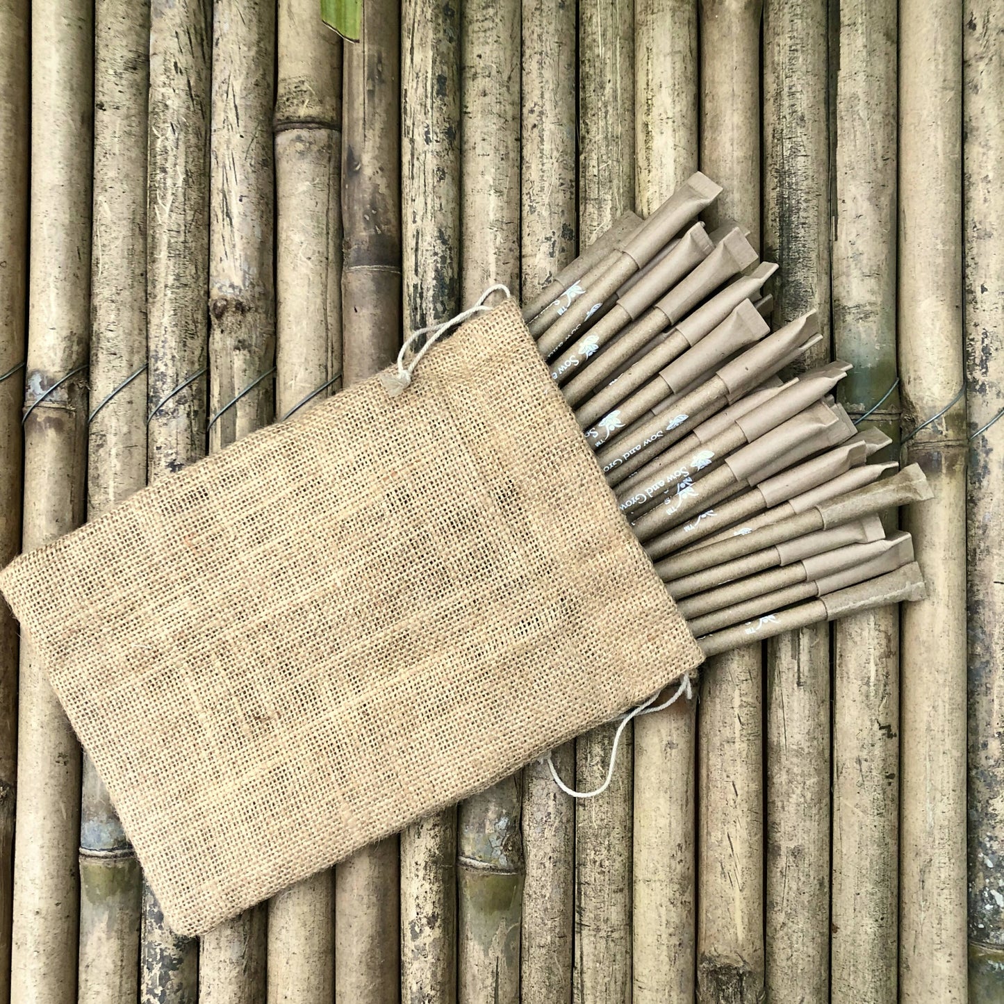 Plantable Seed Pens with Jute Potli Bag Packaging (Pack of 50)