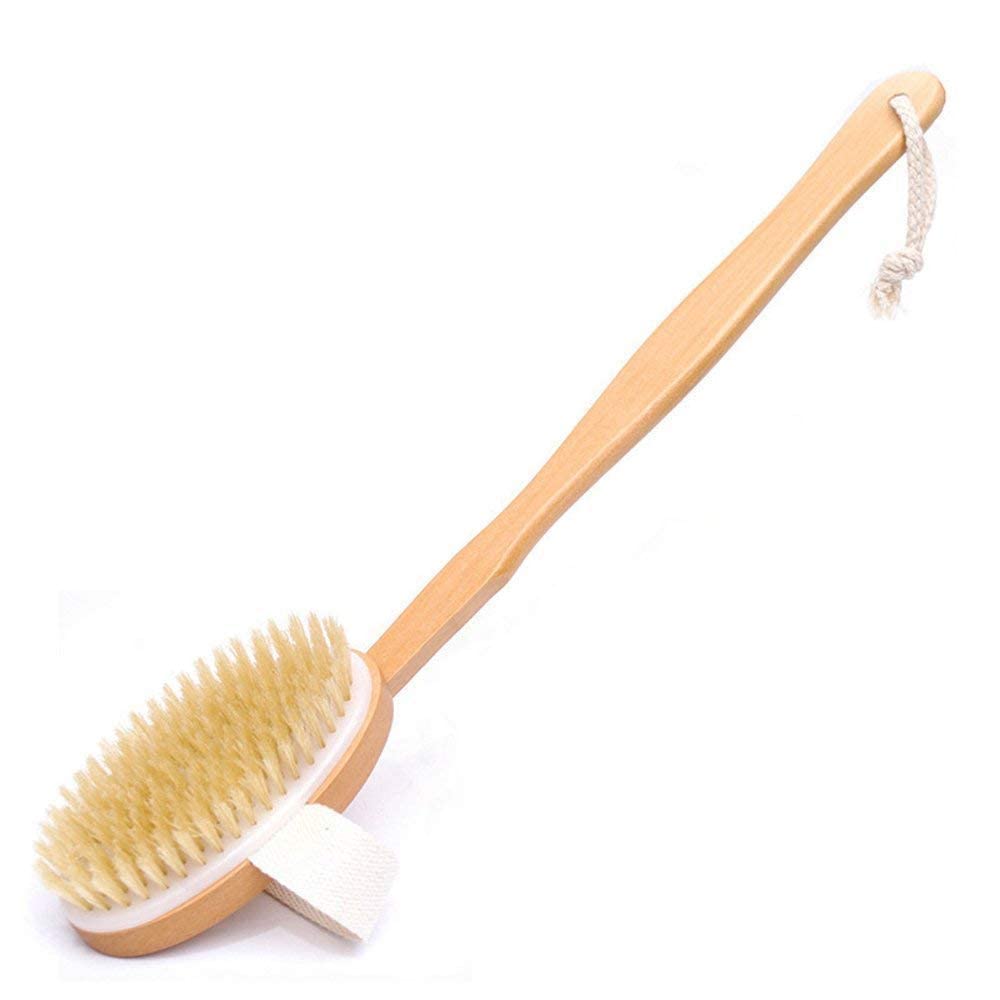 Organic B’s 2-in-1 Dry Skin Body Brush with 14 inch Removable Wood Handle