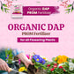 Organic DAP PROM Fertilizer for Roses & Flowers - 900 Grams