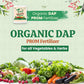 Organic DAP PROM Fertilizer for Vegetables - 900 Grams