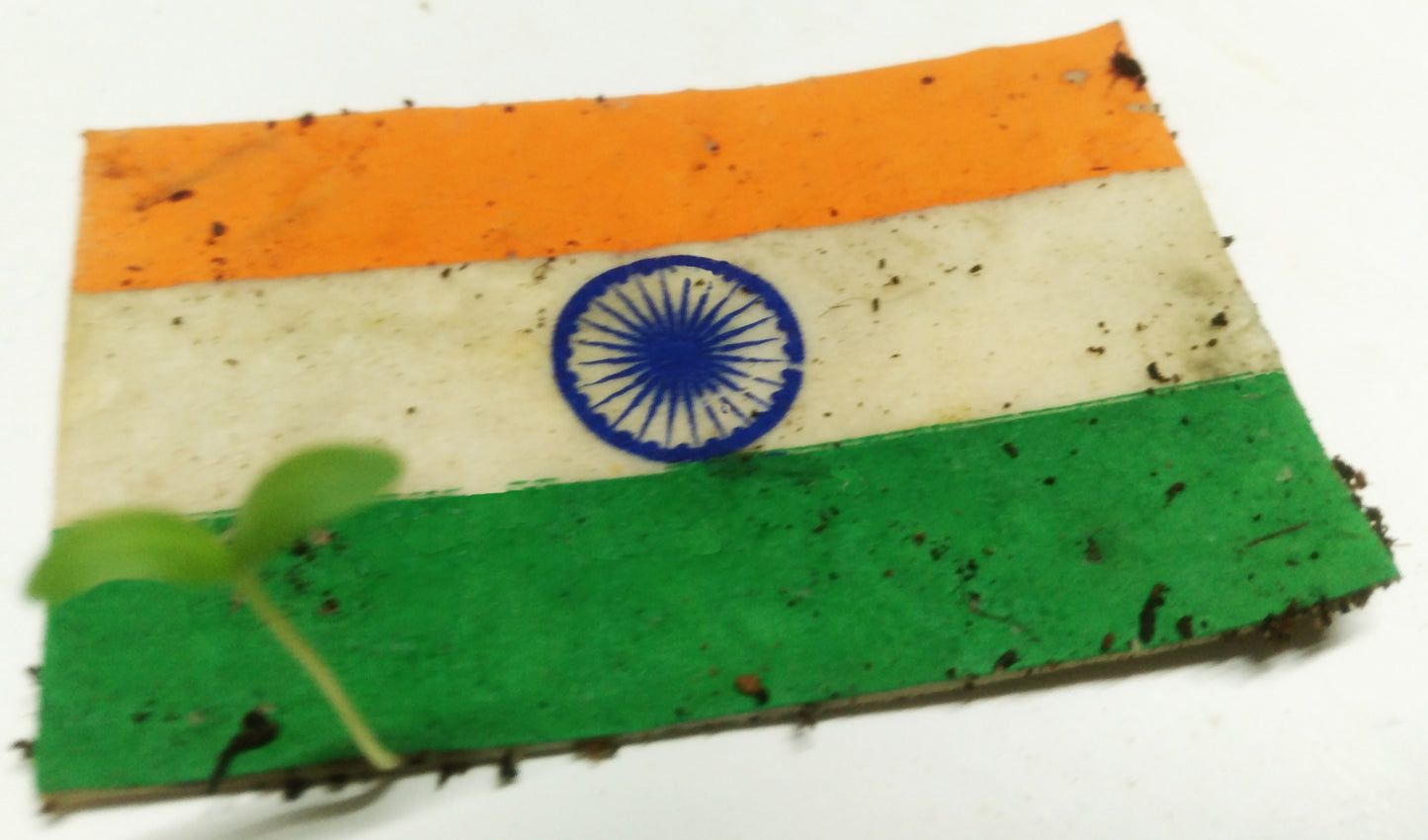 Plantable Seed Paper Indian National Flag