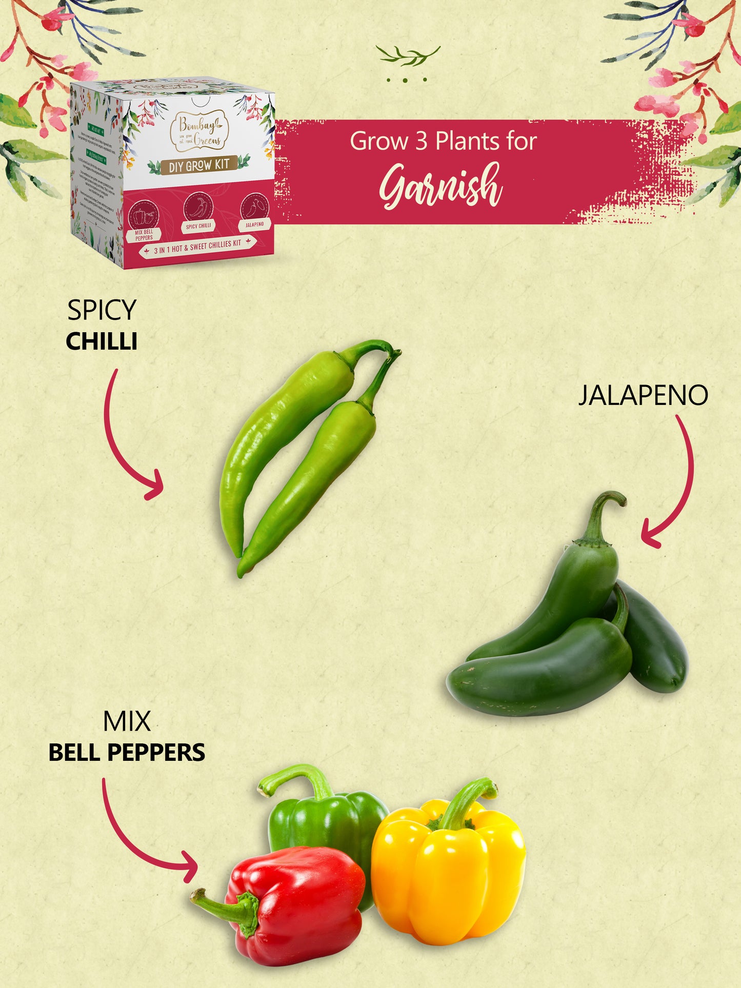 Chillies Kit – Grow Spicy Green, Jalapeno, Mix Bell Peppers