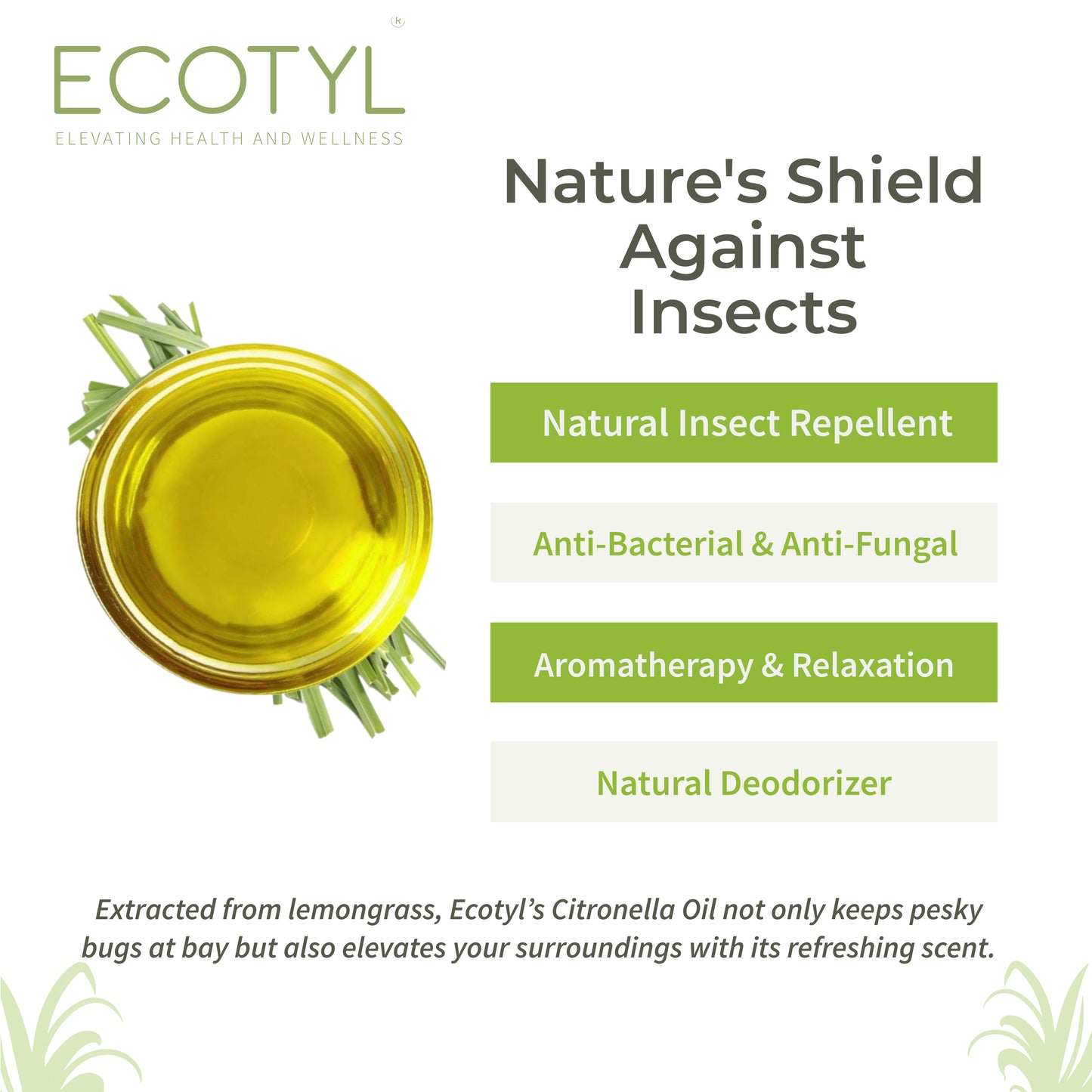 Citronella Oil | Natural Mosquito & Insect Repellent | Toxin Free | 100ml