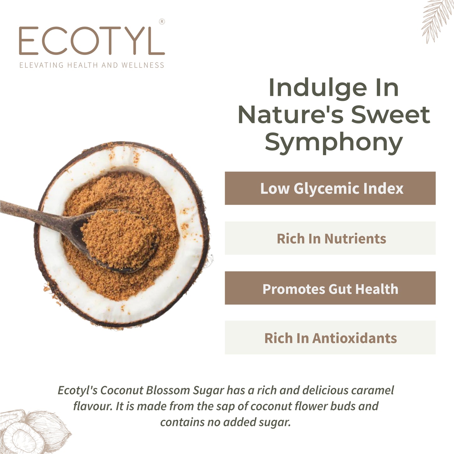 Coconut Sugar | Blossom Sugar | Natural Sweetener | 300g