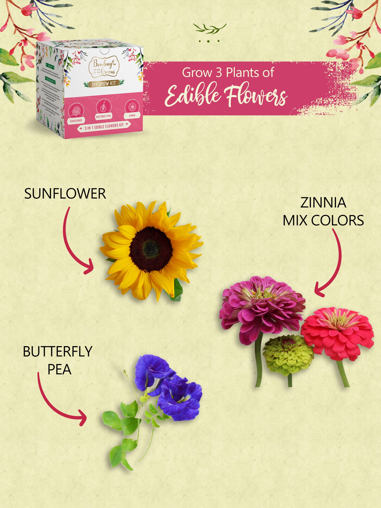 Edible Flowers Kits - Sunflower, Zinnia, Butterfly Pea