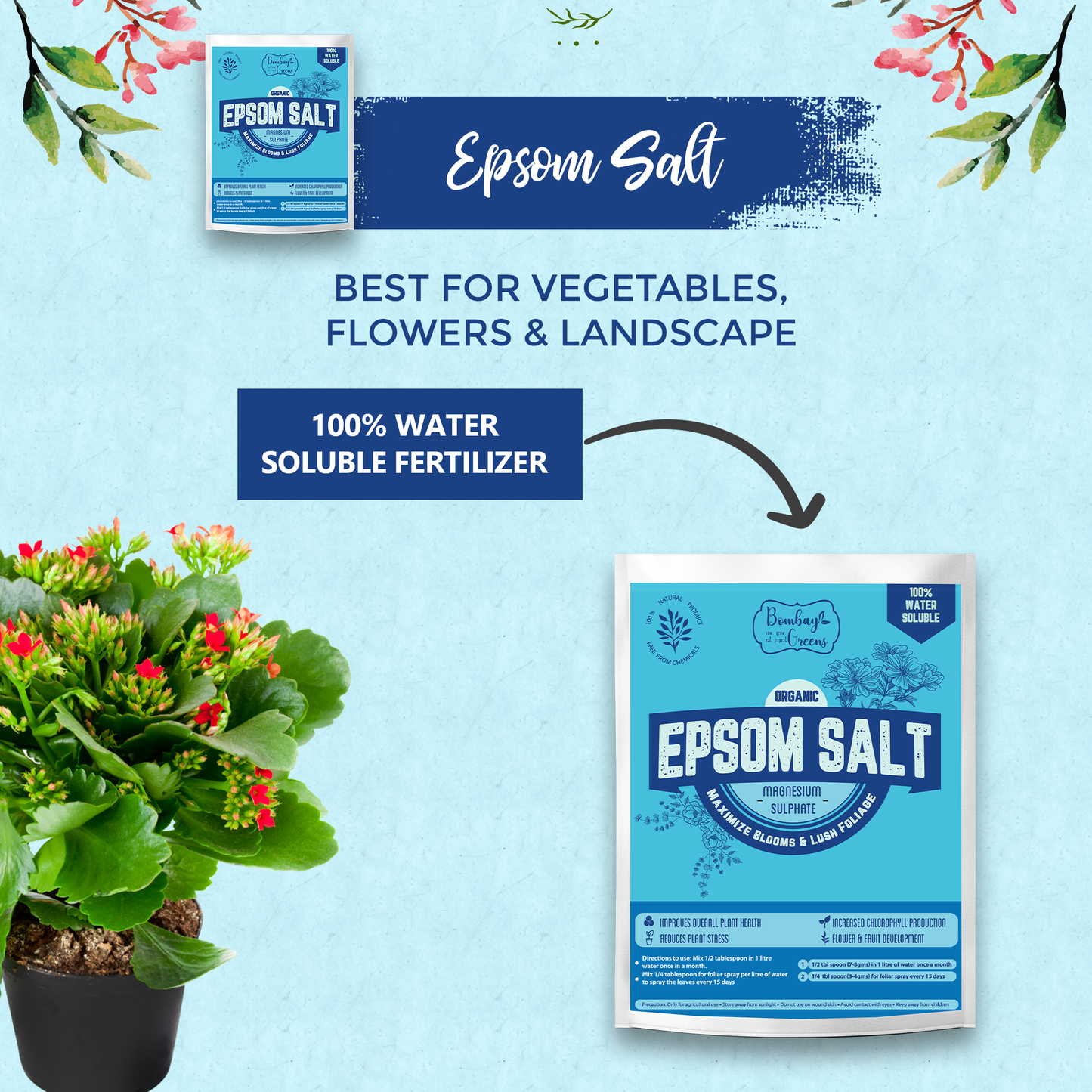 Epsom Salt - Magnesium Sulphate for Better Plant Growth - 400gms