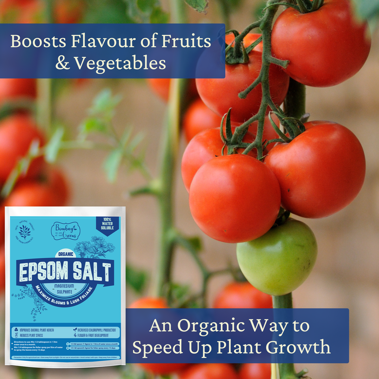 Epsom Salt - Magnesium Sulphate for Better Plant Growth - 400gms