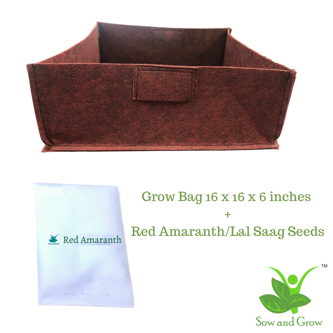 Large Grow Bag and Red Amaranth/ Lal Saag Seeds Grow it Yourself Vegetable Kit