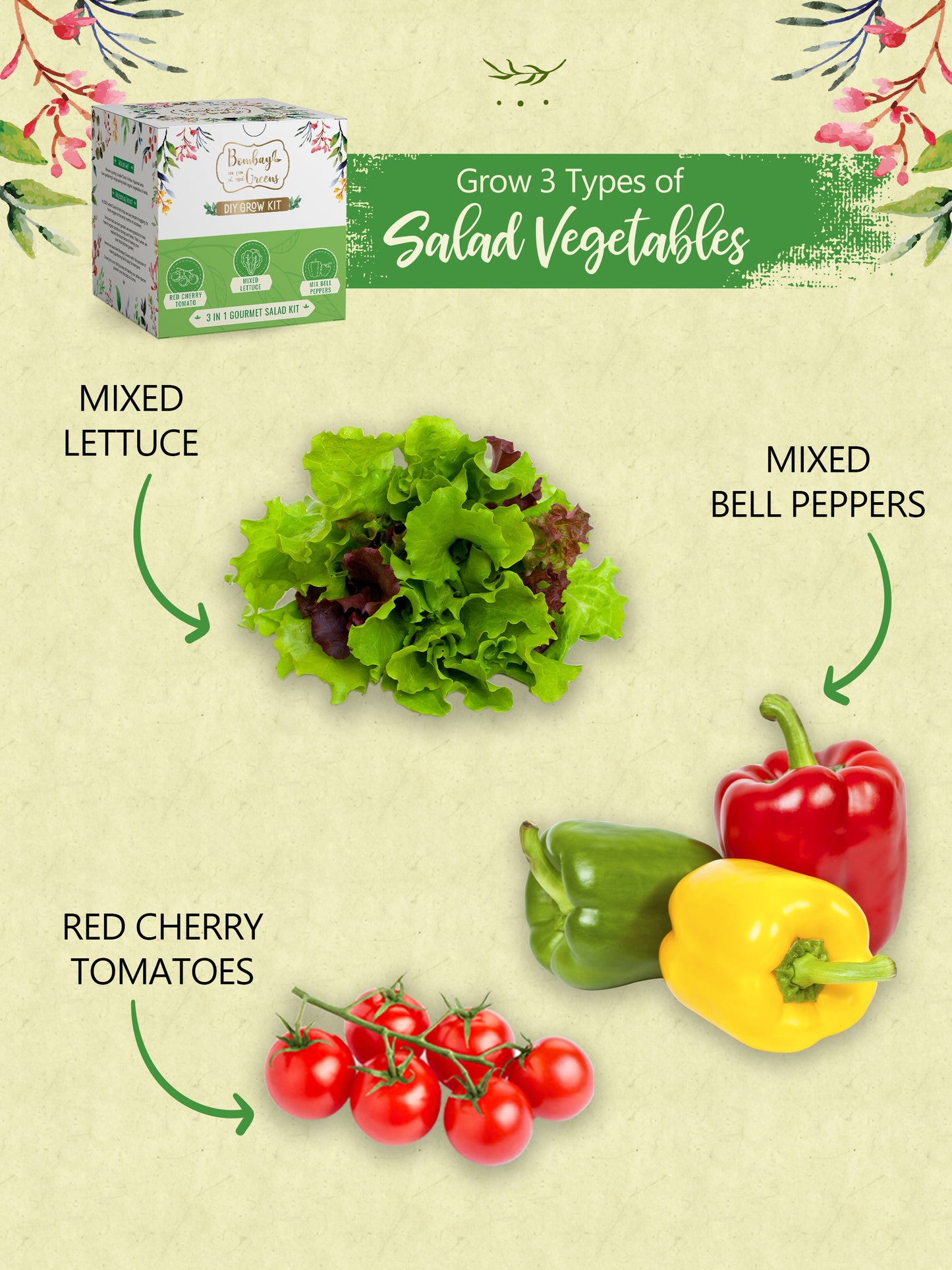 Salad Kit - Mixed Bell Peppers, Mixed Lettuce, Red Cherry Tomato