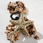 Meen (Starfish) Brass Bottle Opener | Made in Solid Brass | Bar Accessories