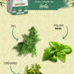 Herbs Kit - Italian Basil, Dill, Oregano