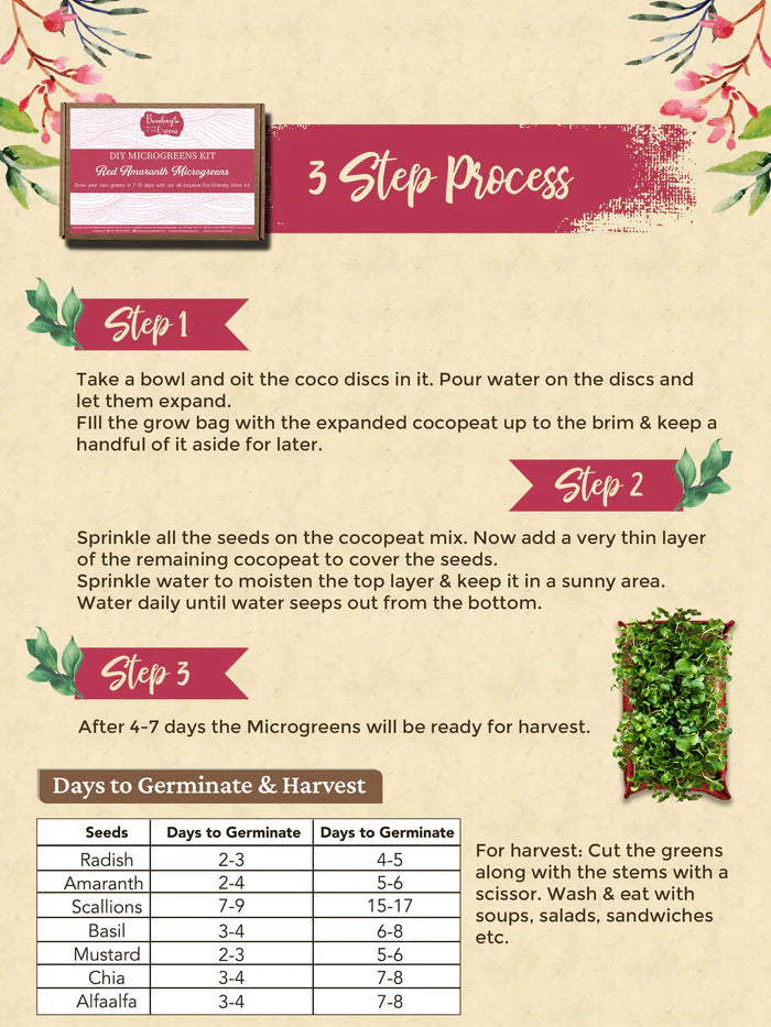 DIY Microgreens Eco-Friendly Kit - Red Amaranth