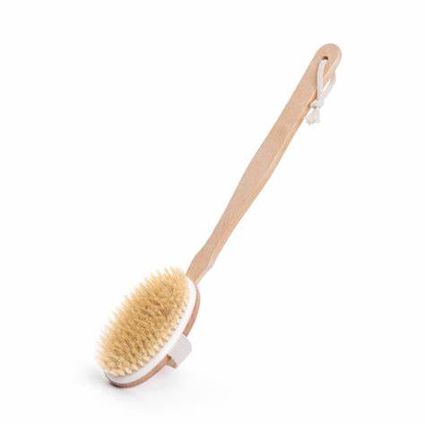 Organic B’s 2-in-1 Dry Skin Body Brush with 14 inch Removable Wood Handle