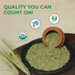 Organic Bajra Whole