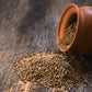 Organic Cumin Whole