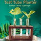 Test Tube Planter with Wooden Holder