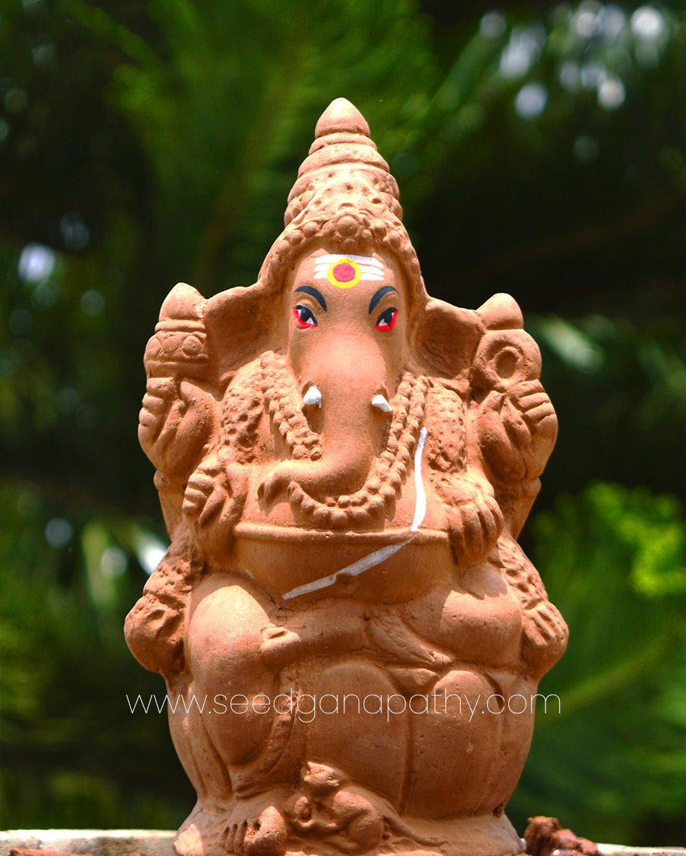 9.5" Seed Ganapathy | With Grow bag, Cocopeat & Extra seeds