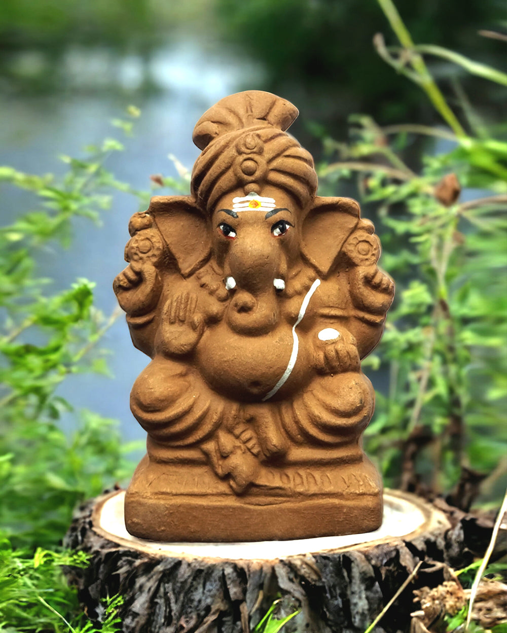 5.5" Seed Ganapathy | With Grow bag, Cocopeat & Extra seeds