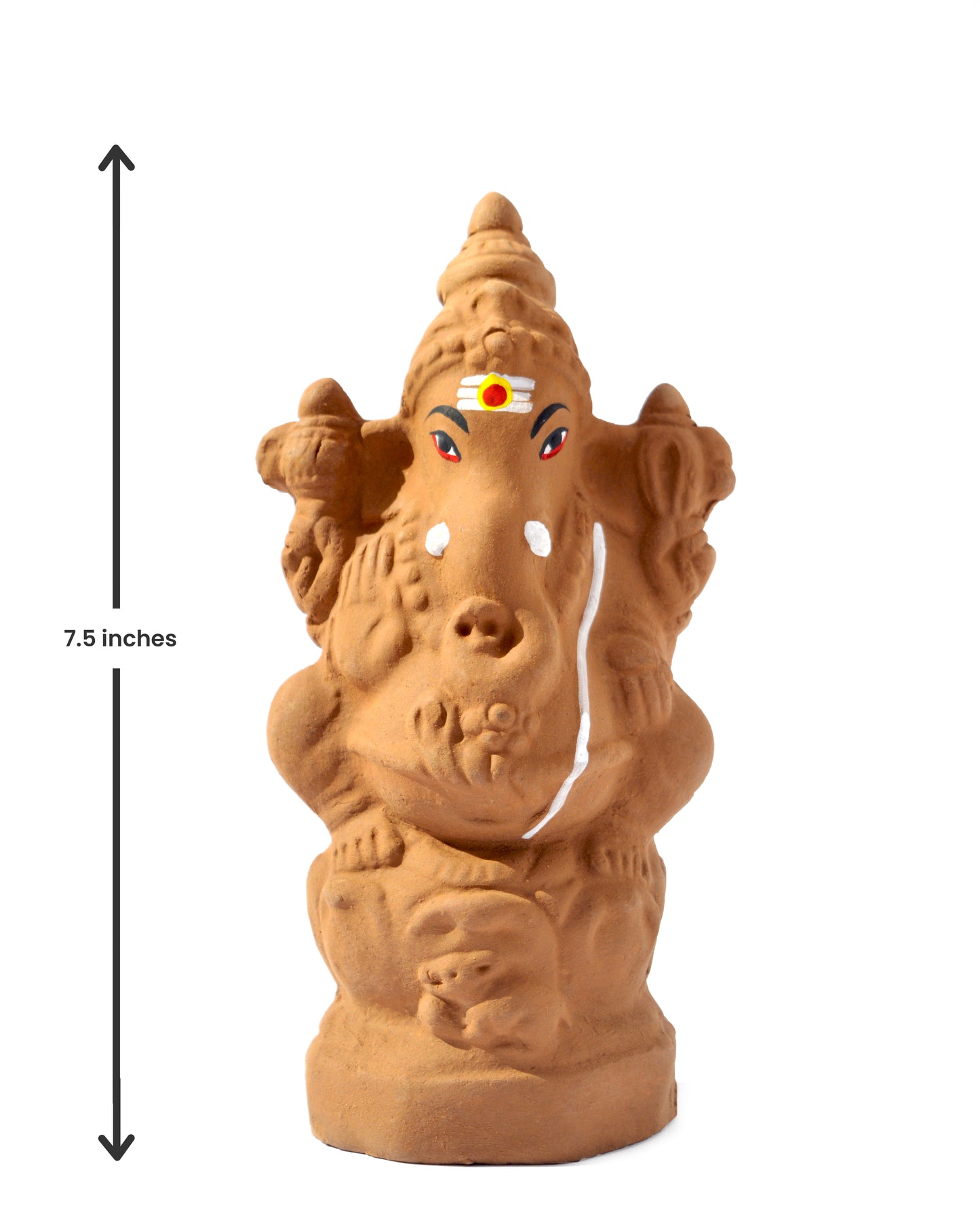 7.5" Seed Ganapathy | With Grow bag, Cocopeat & Extra seeds