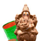 9.5" Seed Ganapathy | With Grow bag, Cocopeat & Extra seeds