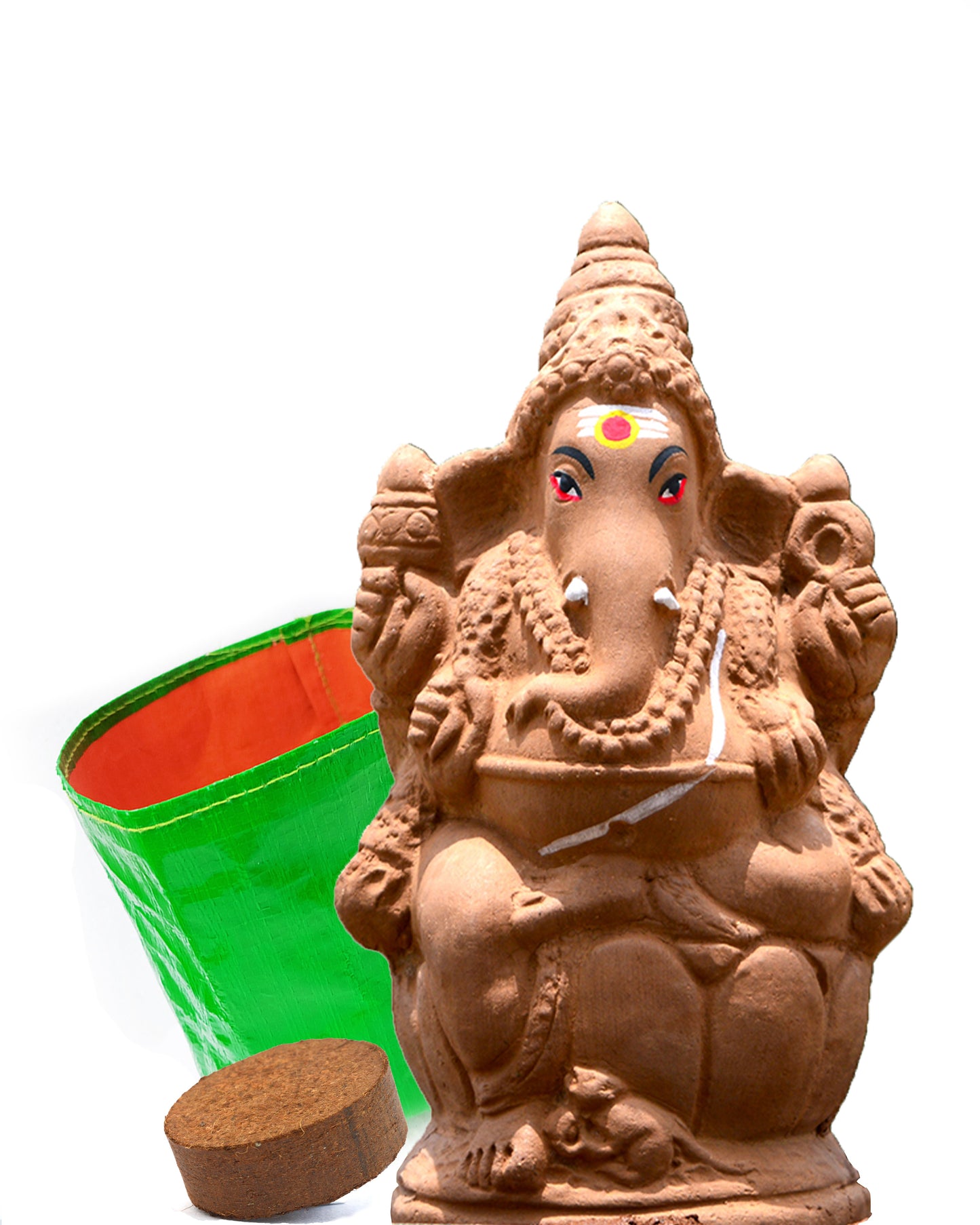 9.5" Seed Ganapathy | With Grow bag, Cocopeat & Extra seeds